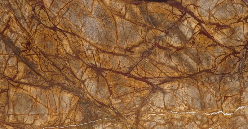 RAINFOREST BROWN