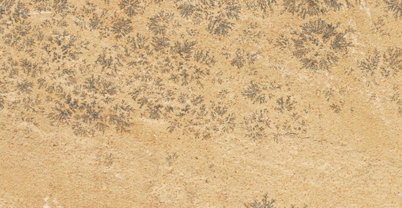 mint fossile