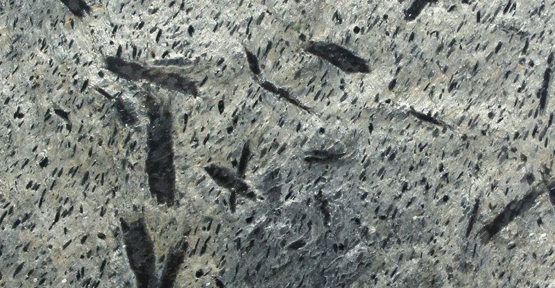 zeera green slate